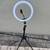 Free Stuff in Albany (steam mop, ring light, serving platter, etc 3 thumbnail