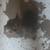 French bulldog 2 thumbnail
