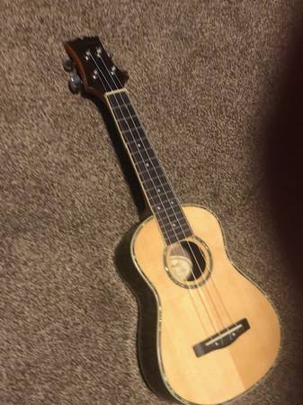 Ukulele and Case 1