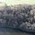 Vacant Lot on Wisconsin River 11 thumbnail