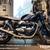 2025 Triumph Speed Twin 900 1 thumbnail