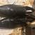 Florsheim Dress Shoes 12D 3 thumbnail
