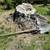 Carrillo's Stump Grinding**same day service available. 3 thumbnail