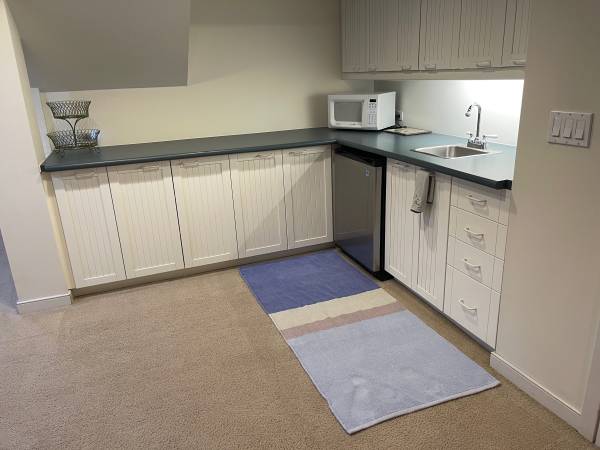 $1,600 / 1br - 1000ft2 - Furnished Apartment (Reston)64040025313409123