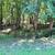 Hickory Hills Lot in Wisconsin Dells 21 thumbnail