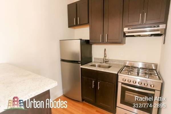 $1,375 / 400ft2 - **$300 OFF 1ST MONTH!** Updated Studio/1-Bath, Available: 11/1/2025 (Ravenswood)63898731058051121
