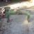 3 P.H. Quick Hitch 2 thumbnail