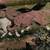 Horse Tapestry 3 thumbnail