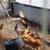 Chickens 2 thumbnail