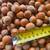 Hazelnuts 3 thumbnail