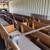 Beautiful Solid Oak Church Pew benches 5 thumbnail