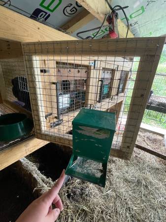 Rabbit Hutch (Treynor)63670840887169124