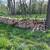 Seasoned Firewood 1 thumbnail
