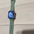 Apple Watch 9 Cellular 41mm w Oxygen Sensor 92% battery health 4 thumbnail