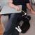 Special Active 6 month old Tuxedo Kitten - Charley (male) 3 thumbnail