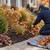 LEAF & GUTTER CLEANUP 5 thumbnail