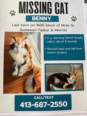LOST CAT (shaved tail & head) (Philadelphia)63975492360963120