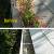 ROOFING REPAIRS & GUTTERS CLEAN UPS 18 thumbnail