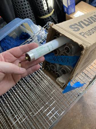 FREE - 8ft Fluorescent Bulbs - T8 1