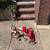 Tricycle for sale 1 thumbnail