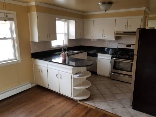 $1,495 / 2br - 1000ft2 - 2bed/1bath LOTS of pics! 11 min CTA ride to loop. Free GAS and WiFi! (Pilsen, Bridgeport, McKinley Park - Chicago)63898860823811124