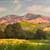 STUDIO PAINTINGS  original paintings by leslie golden 8 thumbnail