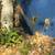 Harvestor silo panels (2) 1 thumbnail