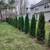Bush trimming, Mulch, Planting, Weeding,Retaining walls, 11 thumbnail