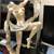 D' Argenta Harmony Sculpture 11 thumbnail