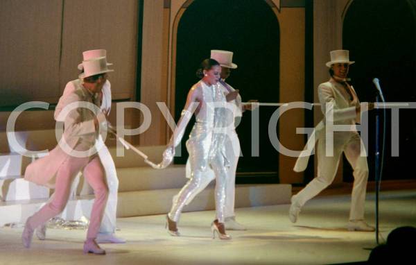 Diana Ross en concierto (una fotografía de 16x20) - $295 (Cranston)63469935402627121