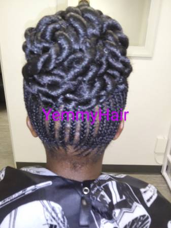 Professional African Hair Braiding 1