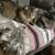 Missing cat 3 thumbnail