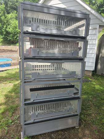 Chick Brooder 1