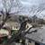 TREE SERVICE 11 thumbnail