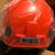 Green Devil Forestry Helmet, Hearing Protection and Face Shield! Brand New!! 8 thumbnail