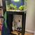 10 gal. Aquarium fish tank & stand, fully cycled + freshwater plants 10 thumbnail