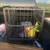 Dog cage or house 2 thumbnail