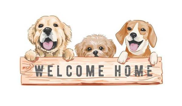 $1,699 / 1br - 680ft2 - 🐾 Pet-Friendly 1BR – Close to Shopping & Transit (Edmonds)63807984427907121