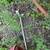 SHRUB REMOVE SERVICES WE HAVE THE RIGHT TOOLS 6 thumbnail