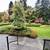 Oak Bay/Uplands House For Rent 4 thumbnail