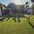 Doggy Day Care Needs Experienced Worker.  Pay Is Free Rent of Studio. 1 thumbnail