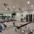 Top Corner Unit, Walk-Through Kitchen, Wood Floors & Closet Built-Ins! 16 thumbnail