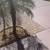 Swimming Pool Deck  painting and crack repair 23 thumbnail