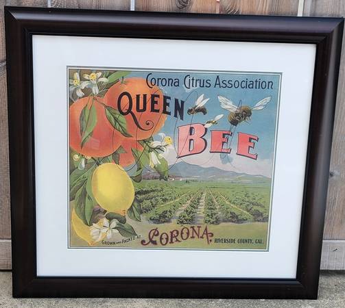 Framed Poster Queen Bee Valencias 1