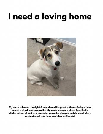 In need of a loving home (Navasota)63839342829185120