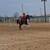 Mobile horse trainer 2 thumbnail