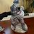 Fabulous La Crescenta Estate Sale! 19 thumbnail