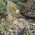 17 acres backs to State Park in Hillsboro, MO 8 thumbnail