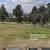 1 CEMETARY PLOT IN ROSE HILL MEMORIAL PARK 2 thumbnail