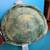 Turtle Squishmallow Plushie 4 thumbnail
